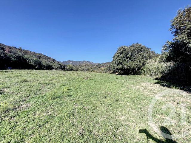 Terrain à vendre - 22147 m2 - Montauriol - 66 - LANGUEDOC-ROUSSILLON