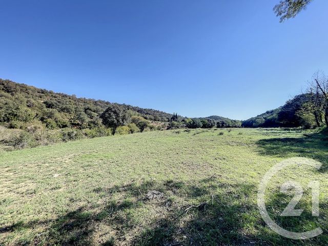 Terrain à vendre - 22147 m2 - Montauriol - 66 - LANGUEDOC-ROUSSILLON