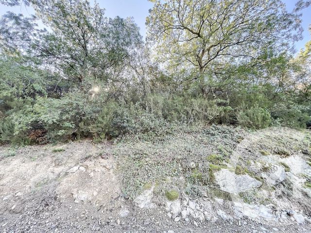 Terrain à vendre - 22147 m2 - Montauriol - 66 - LANGUEDOC-ROUSSILLON