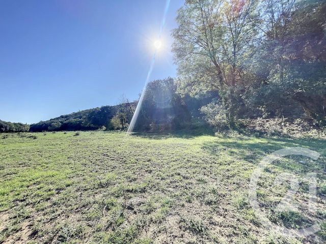 Terrain à vendre - 22147 m2 - Montauriol - 66 - LANGUEDOC-ROUSSILLON