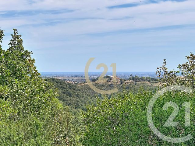 Maison &agrave; vendre - 5 pi&egrave;ces - 188 m2 - Montauriol - 66 - LANGUEDOC-ROUSSILLON